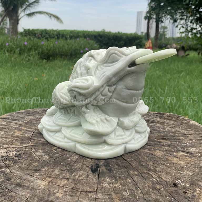 Cóc ngậm tiền hợp với tuổi nào