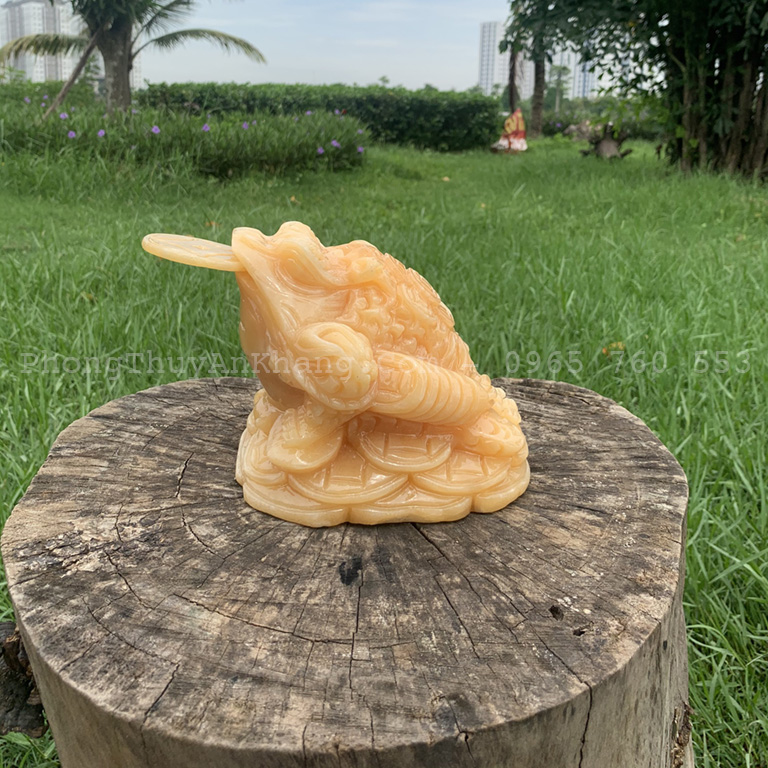 Cóc ngậm tiền bằng ngọc Hoàng Long tại Hà Nội