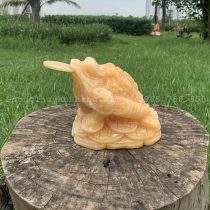 Cóc ngậm tiền ngọc Hoàng Long 15 CM