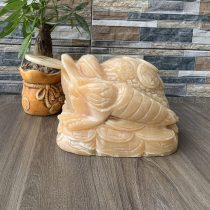 Cóc ngậm tiền ngọc Hoàng Long 20 CM