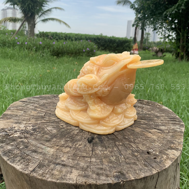 Cóc ngậm tiền ngọc Hoàng Long để phòng khách