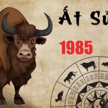 Phong thuỷ tuổi Ất Sửu 1985
