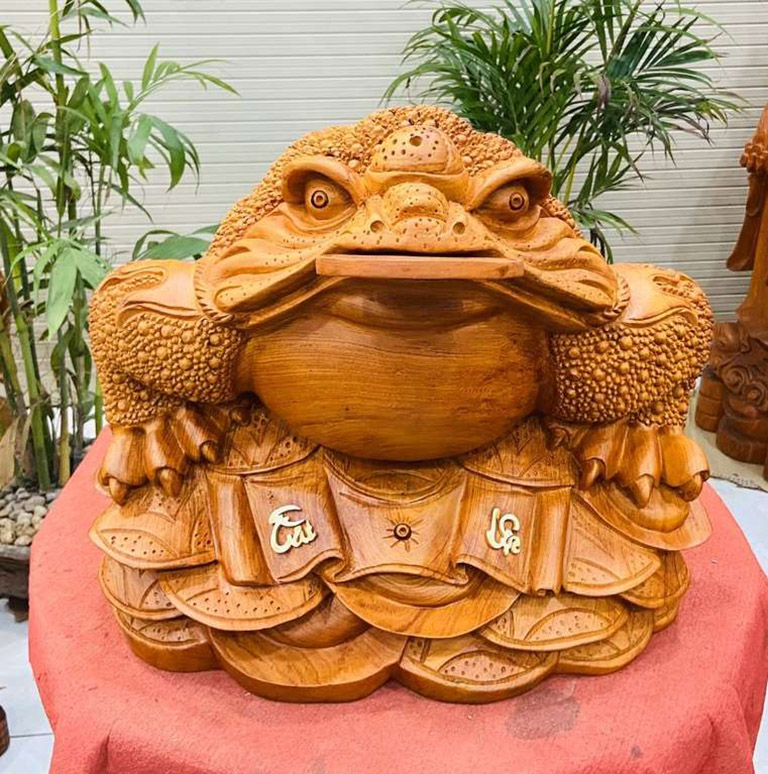 thông tin chung về cóc ngậm tiền