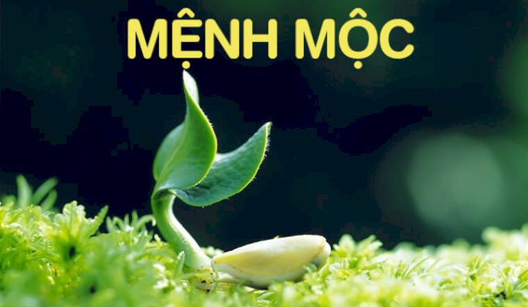 Mộc mang ý nghĩa cho sự sinh rôi phát triển