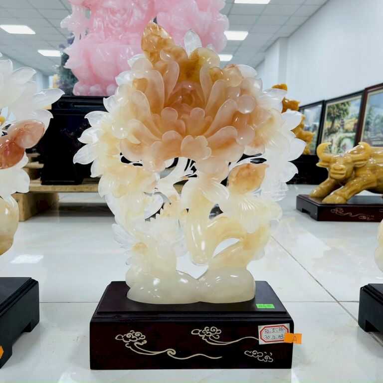 Hoa mẫu đơn được biết đến là biểu tượng của sự phú quý, thịnh vượng hạnh phúc